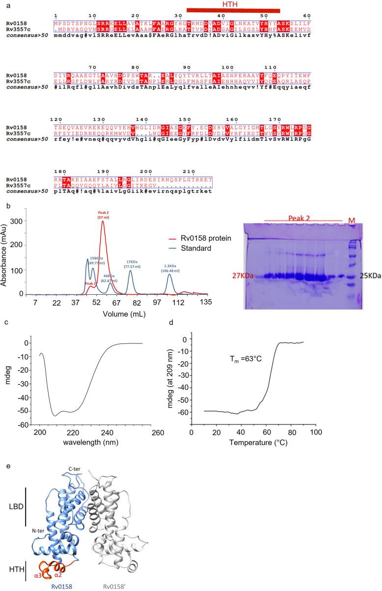https://cdn.ncbi.nlm.nih.gov/pmc/blobs/d5e9/10501769/e59723001916/elife-80218-fig10-figsupp1.jpg