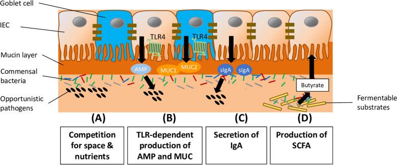 https://cdn.ncbi.nlm.nih.gov/pmc/blobs/d5f2/9673442/9949d5af08af/40104_2022_783_Fig1_HTML.jpg