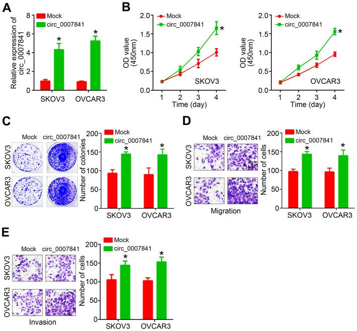 https://cdn.ncbi.nlm.nih.gov/pmc/blobs/d603/8109085/1a10e41a47a8/aging-13-202911-g002.jpg