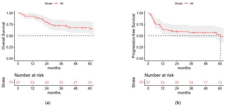 https://cdn.ncbi.nlm.nih.gov/pmc/blobs/d603/9776017/c6b705117baf/cancers-14-06140-g001.jpg