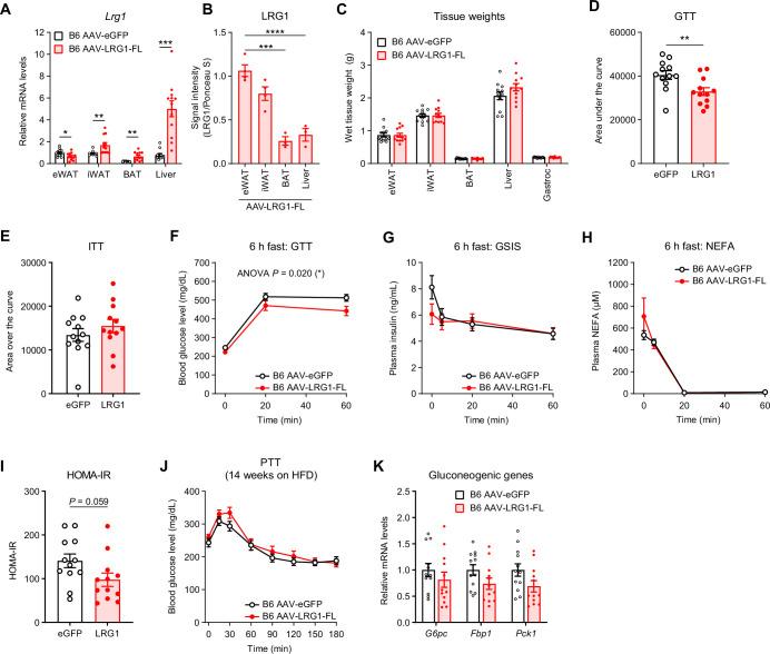 https://cdn.ncbi.nlm.nih.gov/pmc/blobs/d60b/9674348/4be29988760b/elife-81559-fig4-figsupp1.jpg