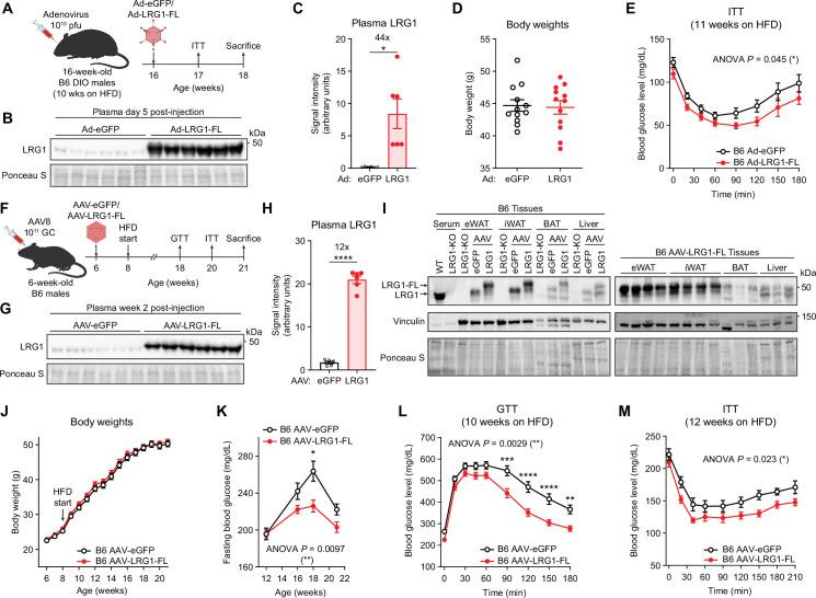 https://cdn.ncbi.nlm.nih.gov/pmc/blobs/d60b/9674348/d3446134adbe/elife-81559-fig4.jpg