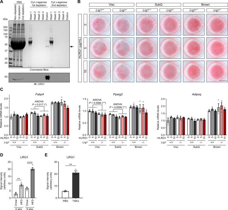 https://cdn.ncbi.nlm.nih.gov/pmc/blobs/d60b/9674348/de3d09d3ea28/elife-81559-fig3-figsupp2.jpg