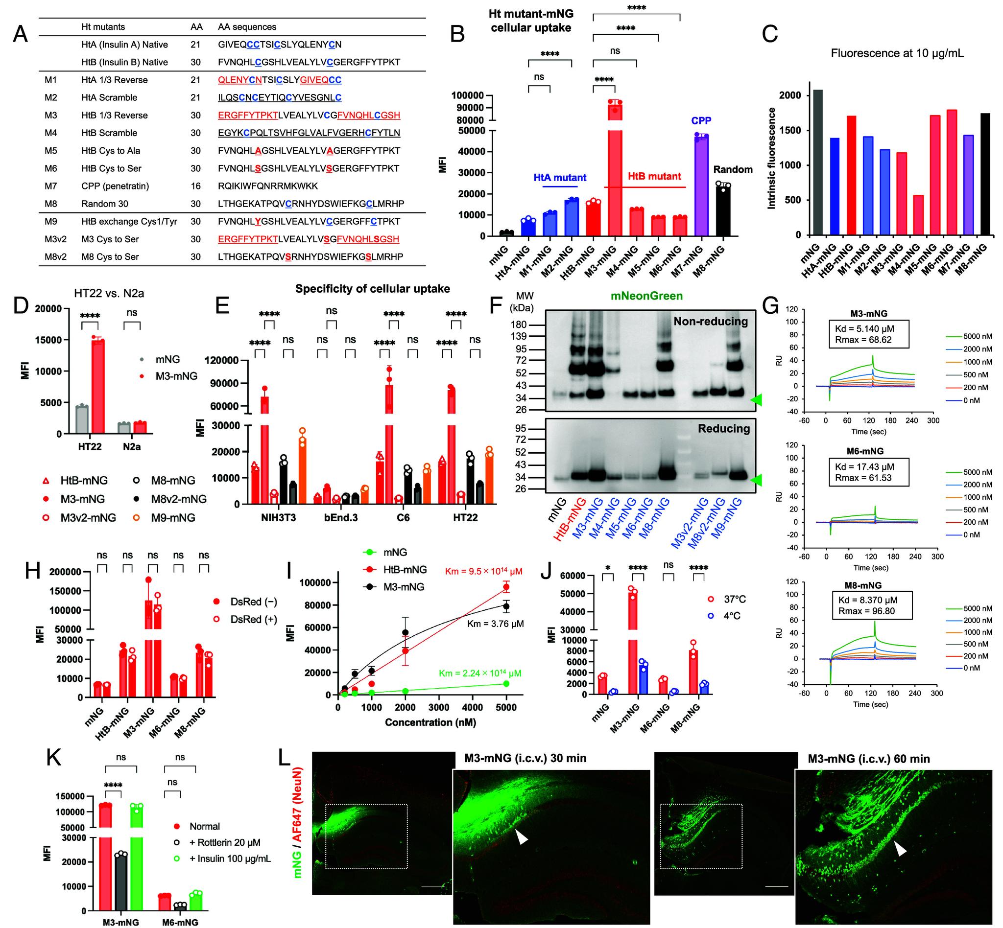 https://cdn.ncbi.nlm.nih.gov/pmc/blobs/d628/11474037/074b6c620400/pnas.2407936121fig06.jpg