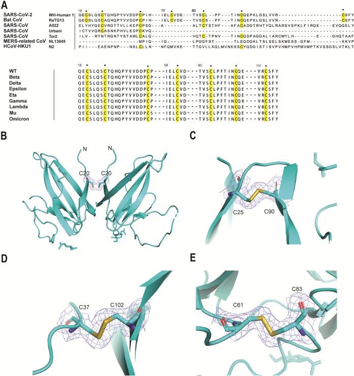 https://cdn.ncbi.nlm.nih.gov/pmc/blobs/d639/10434001/b62f25ea72c8/spectrum.01234-23-f002.jpg