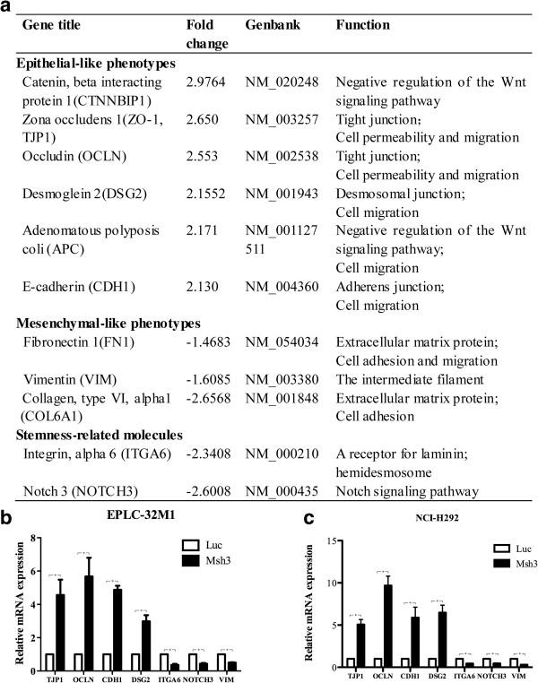 https://cdn.ncbi.nlm.nih.gov/pmc/blobs/d63c/4233086/ad744a00df2b/12943_2014_1444_Fig4_HTML.jpg