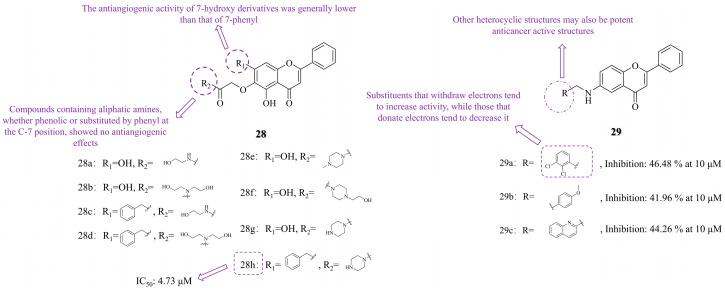 https://cdn.ncbi.nlm.nih.gov/pmc/blobs/d640/12029265/3676844dca86/molecules-30-01827-g005.jpg