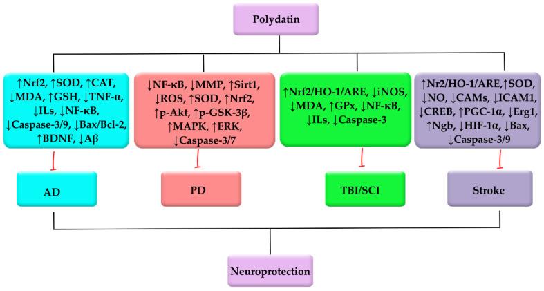 https://cdn.ncbi.nlm.nih.gov/pmc/blobs/d65e/8513080/e1424b5a6881/molecules-26-05985-g002.jpg