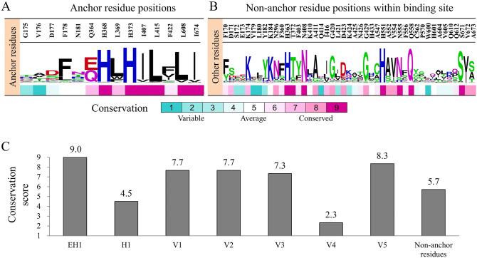 https://cdn.ncbi.nlm.nih.gov/pmc/blobs/d666/7324578/48596f14178d/41598_2020_67420_Fig3_HTML.jpg