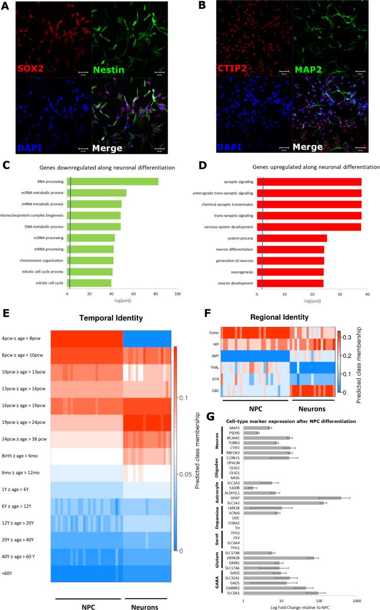 https://cdn.ncbi.nlm.nih.gov/pmc/blobs/d670/8159745/6897f7b4873b/41380_2020_669_Fig1_HTML.jpg