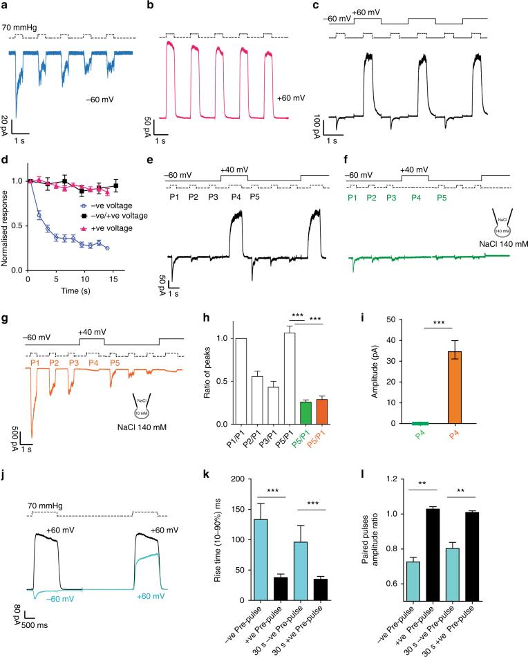https://cdn.ncbi.nlm.nih.gov/pmc/blobs/d680/5854696/d0addbbe89fd/41467_2018_3502_Fig2_HTML.jpg