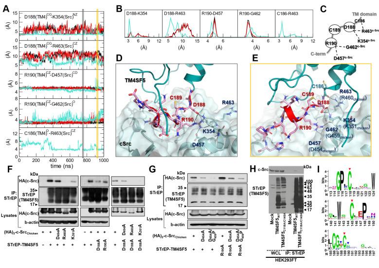 https://cdn.ncbi.nlm.nih.gov/pmc/blobs/d695/8315060/96794d626ce1/thnov11p8092g005.jpg