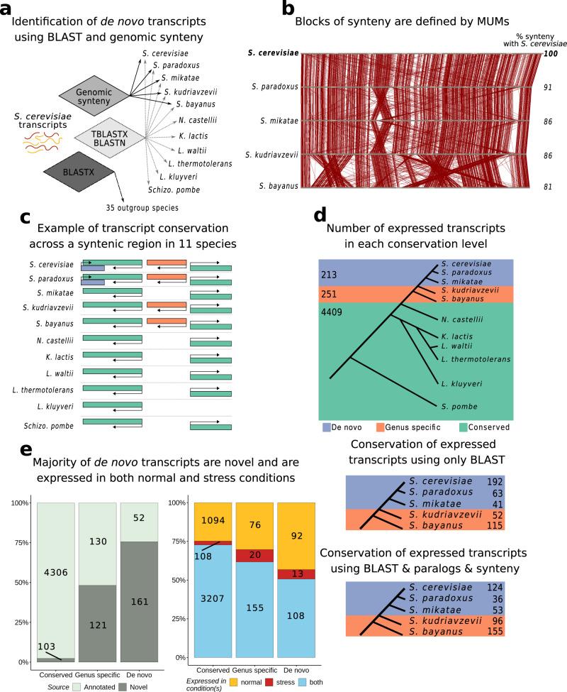 https://cdn.ncbi.nlm.nih.gov/pmc/blobs/d6a9/7841160/574dec1c5c89/41467_2021_20911_Fig2_HTML.jpg