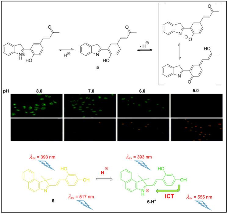 https://cdn.ncbi.nlm.nih.gov/pmc/blobs/d6ab/10056067/7518df61fd02/pharmaceuticals-16-00381-g006.jpg
