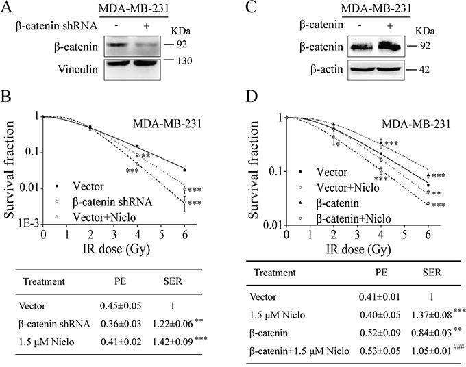 https://cdn.ncbi.nlm.nih.gov/pmc/blobs/d6d2/5173121/5e25e4bd5a3f/oncotarget-07-42126-g004.jpg