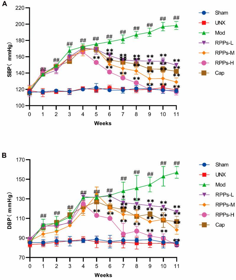 https://cdn.ncbi.nlm.nih.gov/pmc/blobs/d6da/10675683/82bdc50e7261/molecules-28-07610-g001.jpg