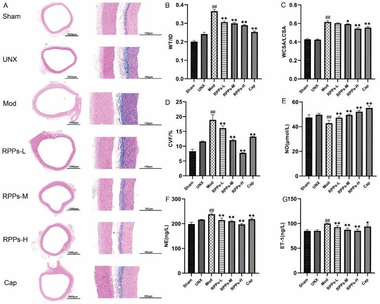 https://cdn.ncbi.nlm.nih.gov/pmc/blobs/d6da/10675683/87af1342f2ad/molecules-28-07610-g002.jpg