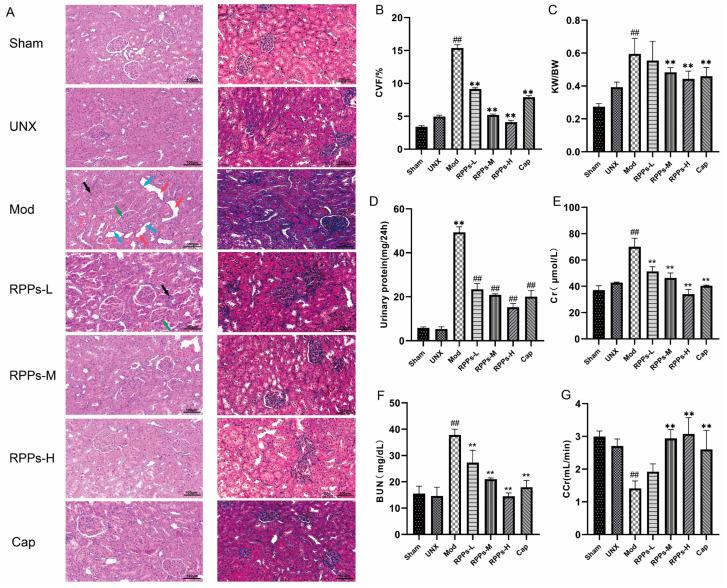 https://cdn.ncbi.nlm.nih.gov/pmc/blobs/d6da/10675683/95fceecbaa45/molecules-28-07610-g005.jpg