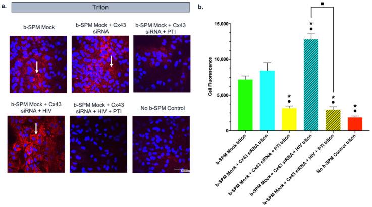 https://cdn.ncbi.nlm.nih.gov/pmc/blobs/d6f0/8391674/1fc7d0b0e73e/biomolecules-11-01187-g005.jpg
