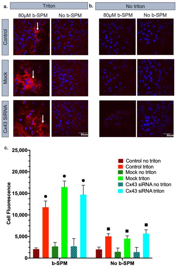 https://cdn.ncbi.nlm.nih.gov/pmc/blobs/d6f0/8391674/28aef203fd8e/biomolecules-11-01187-g002.jpg