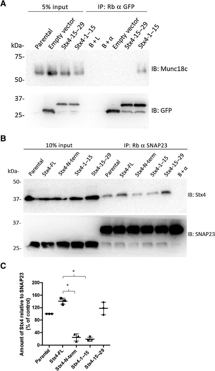 https://cdn.ncbi.nlm.nih.gov/pmc/blobs/d6f8/9306282/a4c2a973ea12/434fig1.jpg