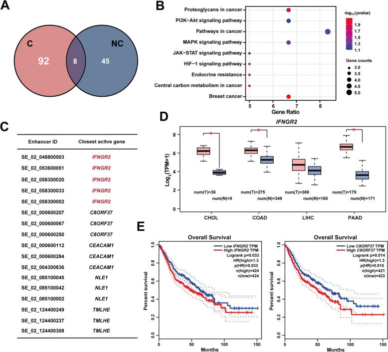 https://cdn.ncbi.nlm.nih.gov/pmc/blobs/d6fd/11804034/18fa300414fb/13578_2025_1361_Fig4_HTML.jpg