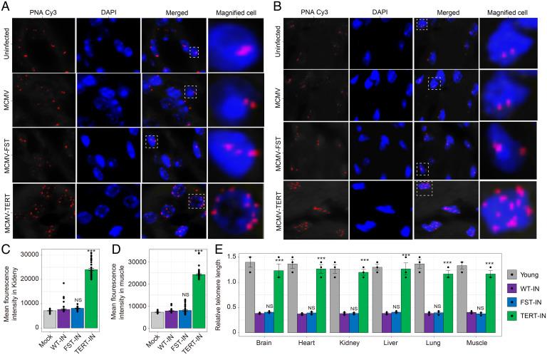 https://cdn.ncbi.nlm.nih.gov/pmc/blobs/d716/9171804/751c204476bb/pnas.2121499119fig03.jpg