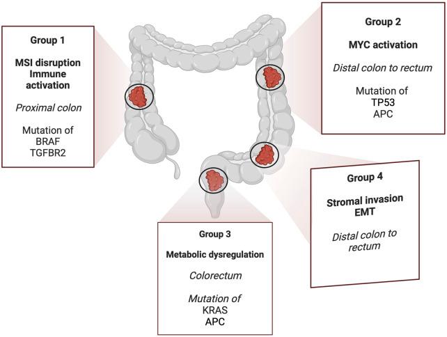 https://cdn.ncbi.nlm.nih.gov/pmc/blobs/d77d/12078225/3b40c0421ae6/fgene-16-1545017-g002.jpg