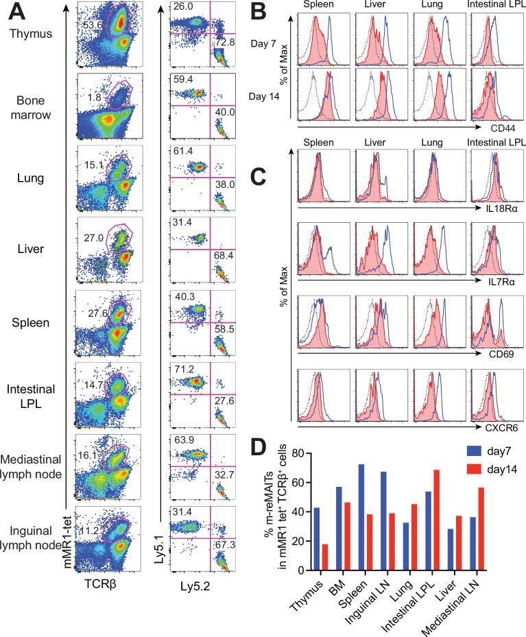 https://cdn.ncbi.nlm.nih.gov/pmc/blobs/d77f/8983048/55c5ccccf729/elife-70848-fig2.jpg