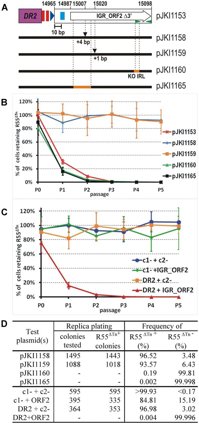 https://cdn.ncbi.nlm.nih.gov/pmc/blobs/d795/10954446/962346558a14/gkae050fig7.jpg
