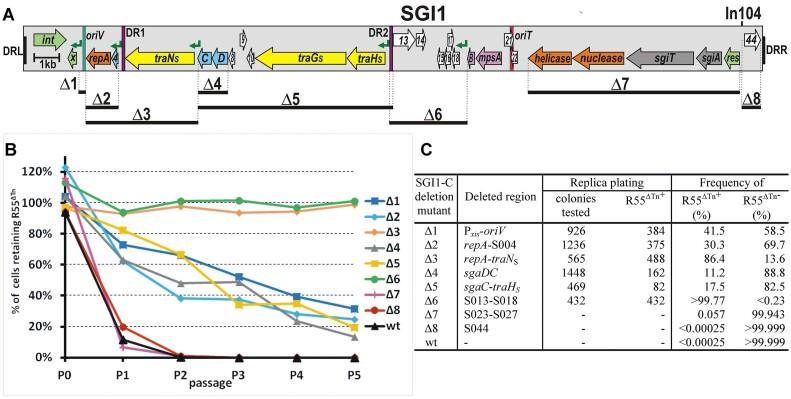https://cdn.ncbi.nlm.nih.gov/pmc/blobs/d795/10954446/c97a663ed6b7/gkae050fig1.jpg