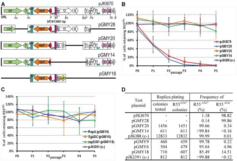 https://cdn.ncbi.nlm.nih.gov/pmc/blobs/d795/10954446/e488ce30b92b/gkae050fig2.jpg
