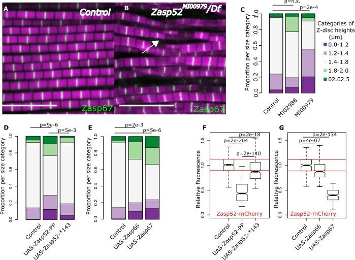 https://cdn.ncbi.nlm.nih.gov/pmc/blobs/d7b6/6910826/3b142f68056d/elife-50496-fig6.jpg