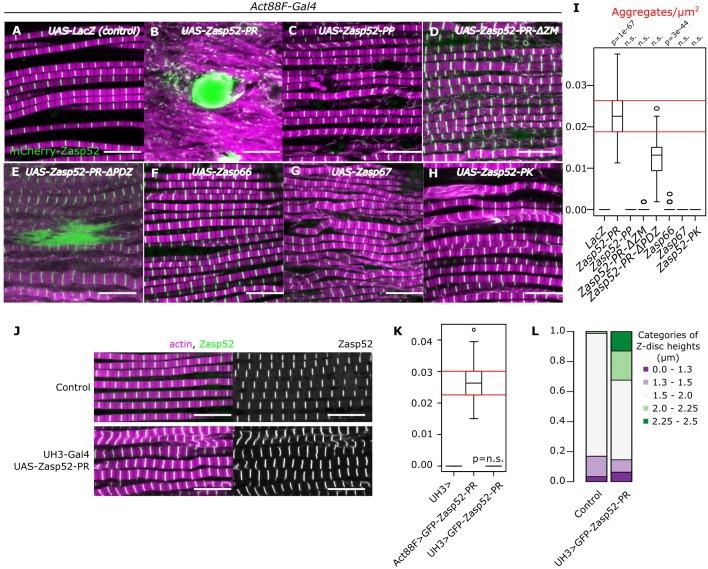 https://cdn.ncbi.nlm.nih.gov/pmc/blobs/d7b6/6910826/b598175cced2/elife-50496-fig1.jpg