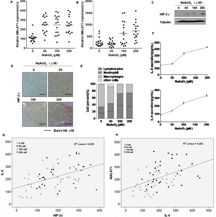 https://cdn.ncbi.nlm.nih.gov/pmc/blobs/d7cf/4868720/1da6a5107925/oncotarget-07-5769-g007.jpg