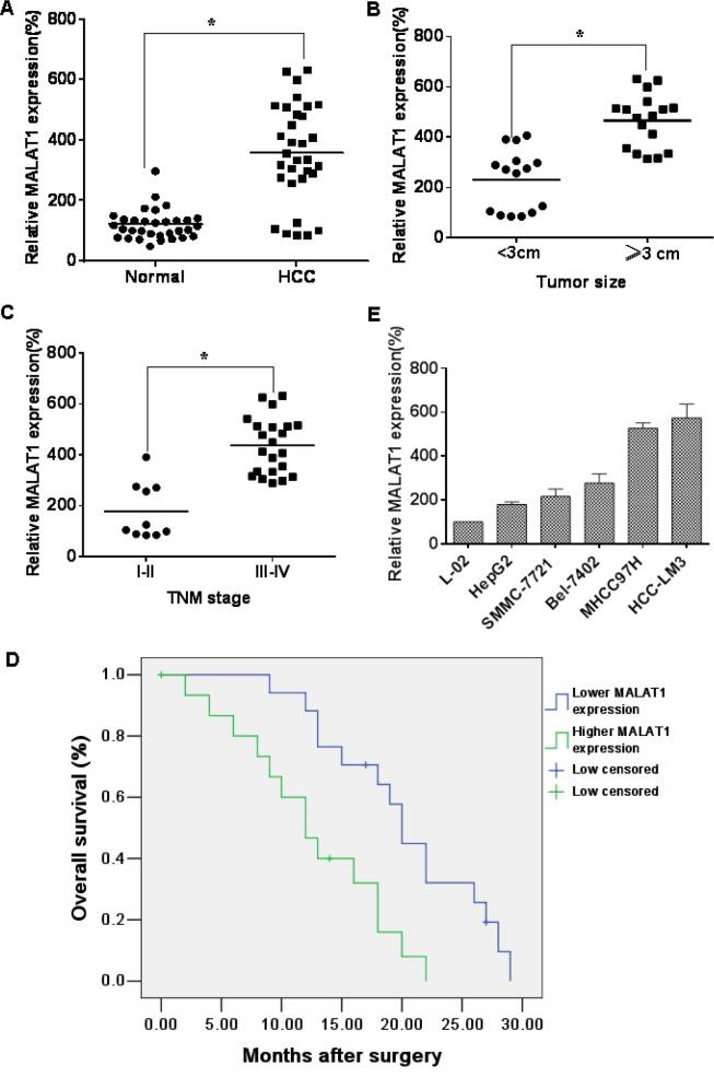 https://cdn.ncbi.nlm.nih.gov/pmc/blobs/d7cf/4868720/2fd6e7dc79ec/oncotarget-07-5769-g002.jpg