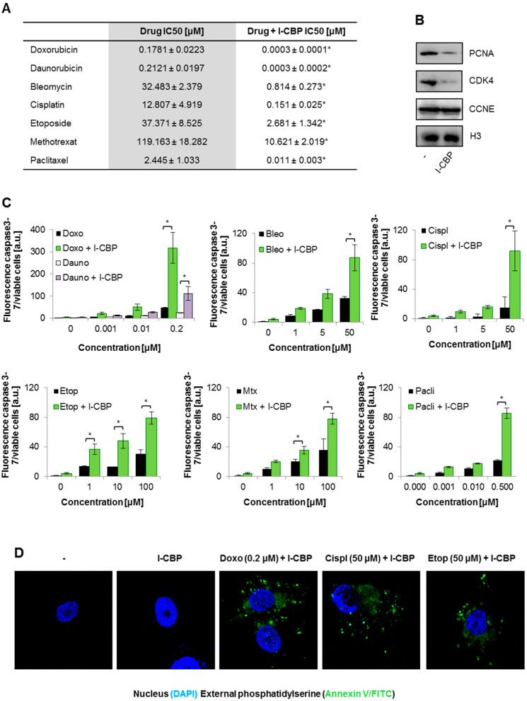 https://cdn.ncbi.nlm.nih.gov/pmc/blobs/d7de/8467251/56809dfb48ba/cancers-13-04614-g001.jpg