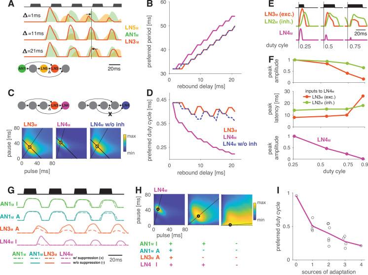 https://cdn.ncbi.nlm.nih.gov/pmc/blobs/d7f3/8635984/44dbd51a475f/elife-61475-fig5.jpg