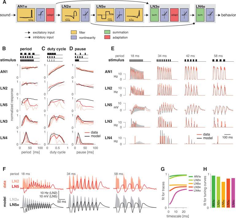 https://cdn.ncbi.nlm.nih.gov/pmc/blobs/d7f3/8635984/751f182b897e/elife-61475-fig2.jpg