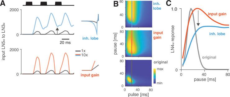https://cdn.ncbi.nlm.nih.gov/pmc/blobs/d7f3/8635984/8a353a5226c5/elife-61475-fig6.jpg