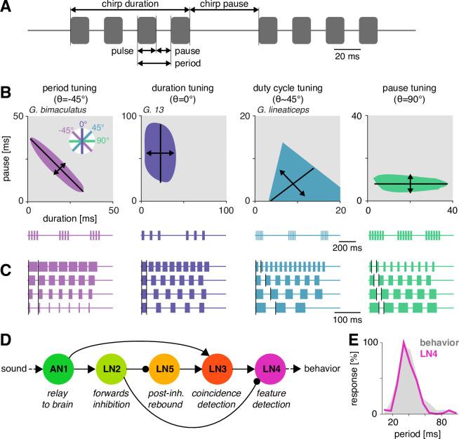 https://cdn.ncbi.nlm.nih.gov/pmc/blobs/d7f3/8635984/8d635be6efd2/elife-61475-fig1.jpg