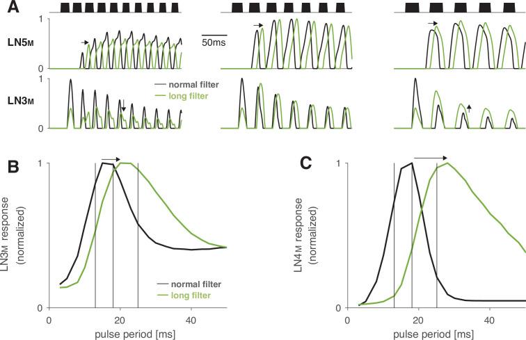 https://cdn.ncbi.nlm.nih.gov/pmc/blobs/d7f3/8635984/a71f0a1a29f2/elife-61475-fig5-figsupp1.jpg