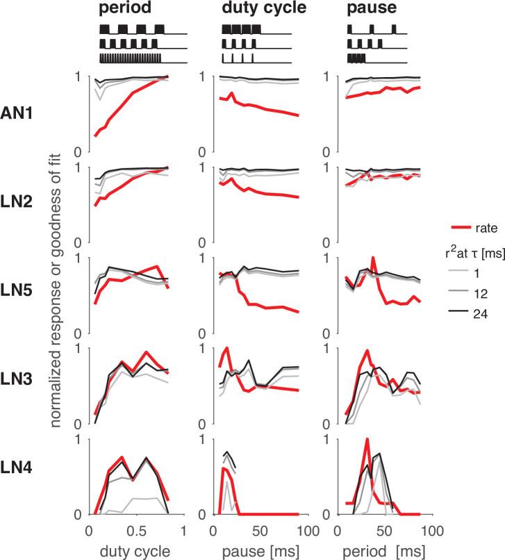 https://cdn.ncbi.nlm.nih.gov/pmc/blobs/d7f3/8635984/cc7c687a7462/elife-61475-fig2-figsupp3.jpg