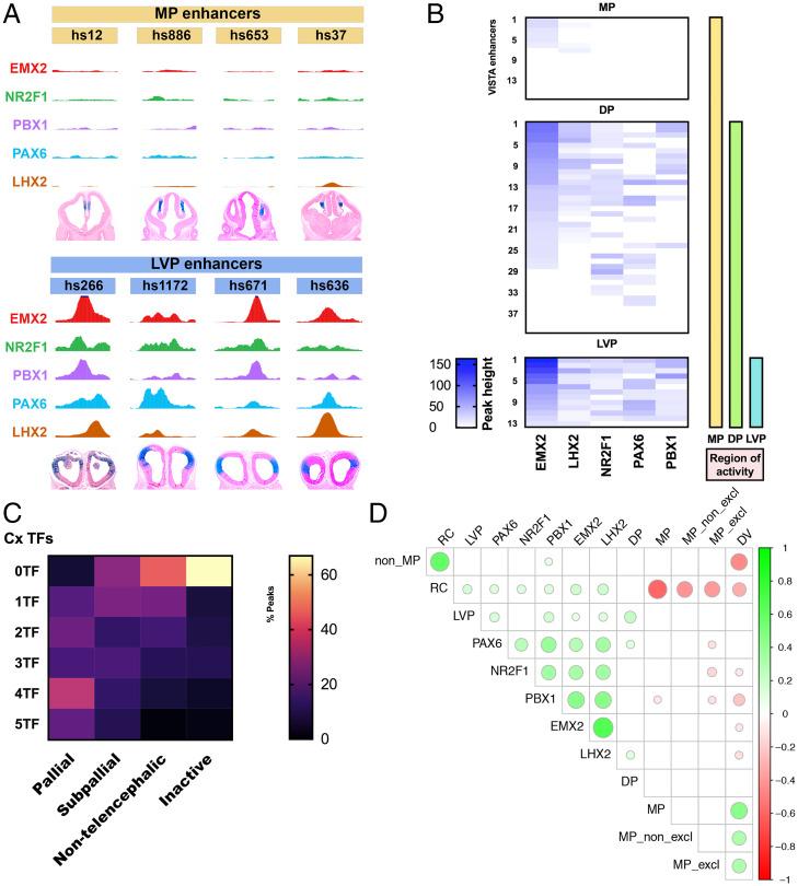 https://cdn.ncbi.nlm.nih.gov/pmc/blobs/d80b/8713794/0fe4aa7f2b38/pnas.2024795118fig05.jpg