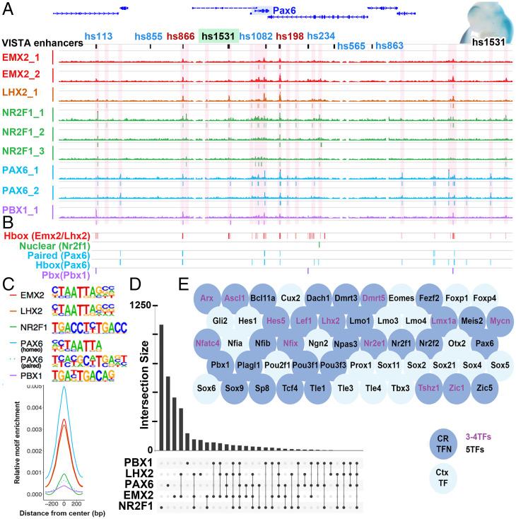 https://cdn.ncbi.nlm.nih.gov/pmc/blobs/d80b/8713794/cce2ecb57c1c/pnas.2024795118fig04.jpg