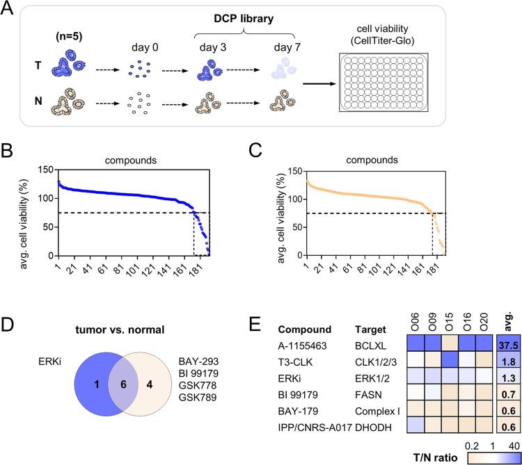 https://cdn.ncbi.nlm.nih.gov/pmc/blobs/d820/10127199/397b52b7b27c/cb2c00877_0006.jpg