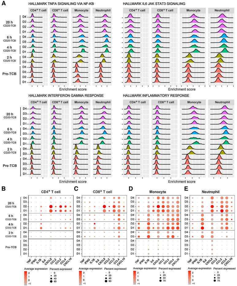 https://cdn.ncbi.nlm.nih.gov/pmc/blobs/d83c/10618647/02f9f4419a17/4449fig3.jpg