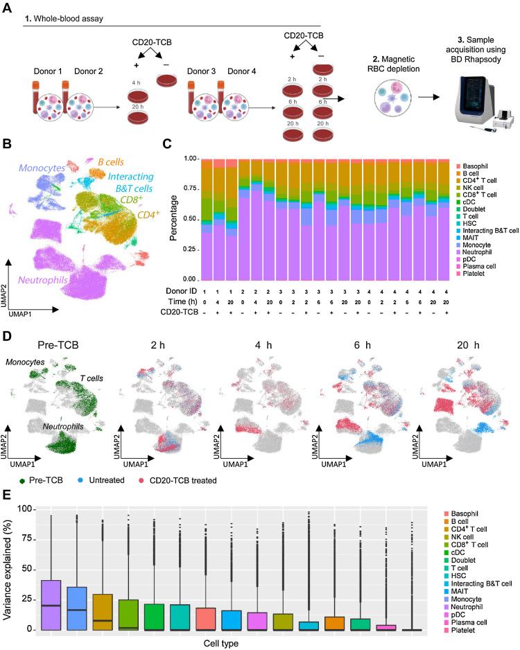 https://cdn.ncbi.nlm.nih.gov/pmc/blobs/d83c/10618647/df96ea4239a6/4449fig2.jpg
