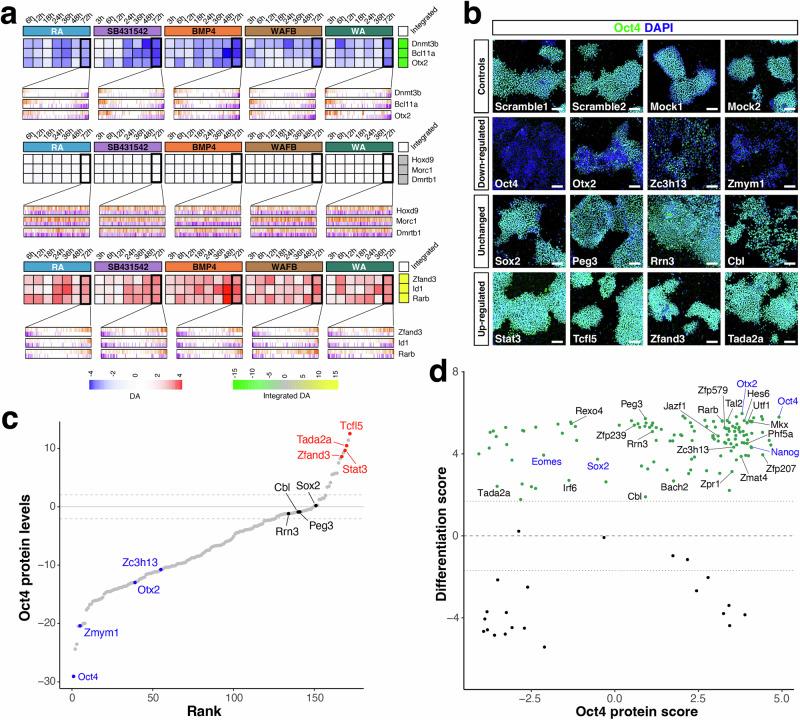 https://cdn.ncbi.nlm.nih.gov/pmc/blobs/d83e/11982361/2aa37b9f60a8/41467_2025_57894_Fig2_HTML.jpg