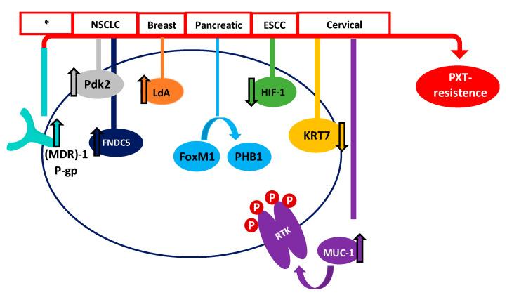 https://cdn.ncbi.nlm.nih.gov/pmc/blobs/d867/7767101/b98096e6ddaf/molecules-25-05986-g003.jpg